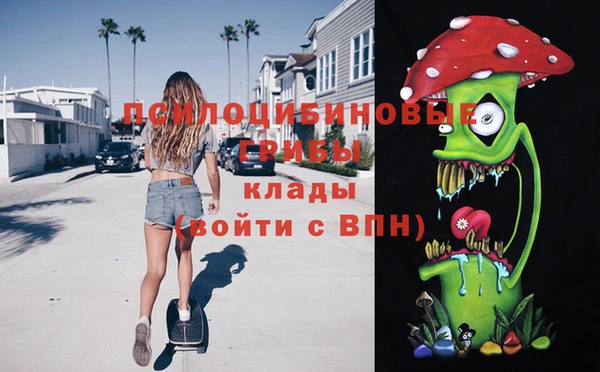 apvp Дмитровск