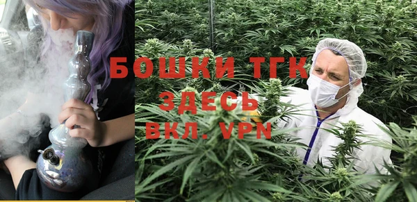 ешки Дмитров